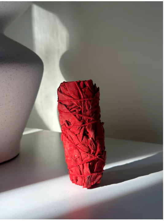 Sauge Sang dragon 10 cm