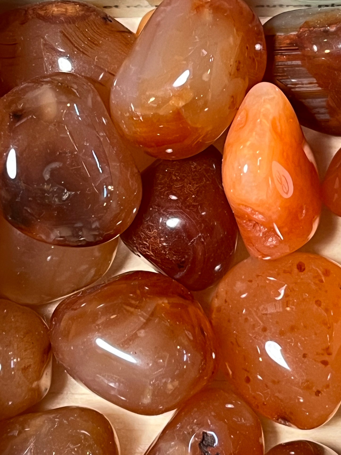 Cornaline AA taille « S » créativité