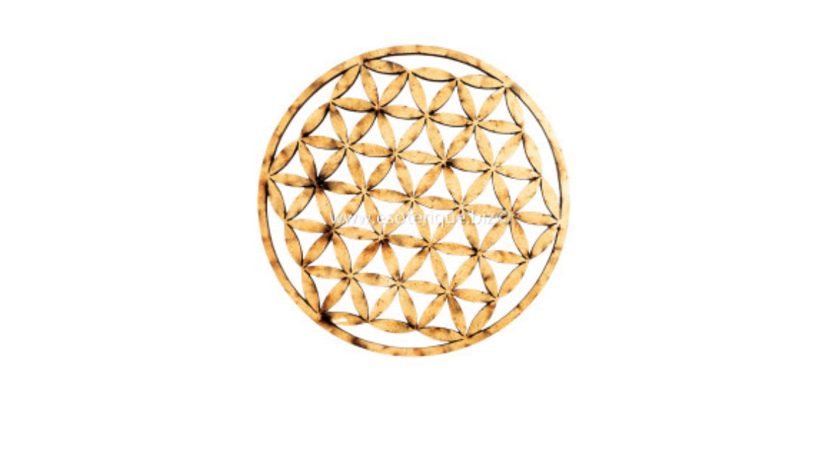 Fleur de vie en bois (diam.10cm et 20cm)