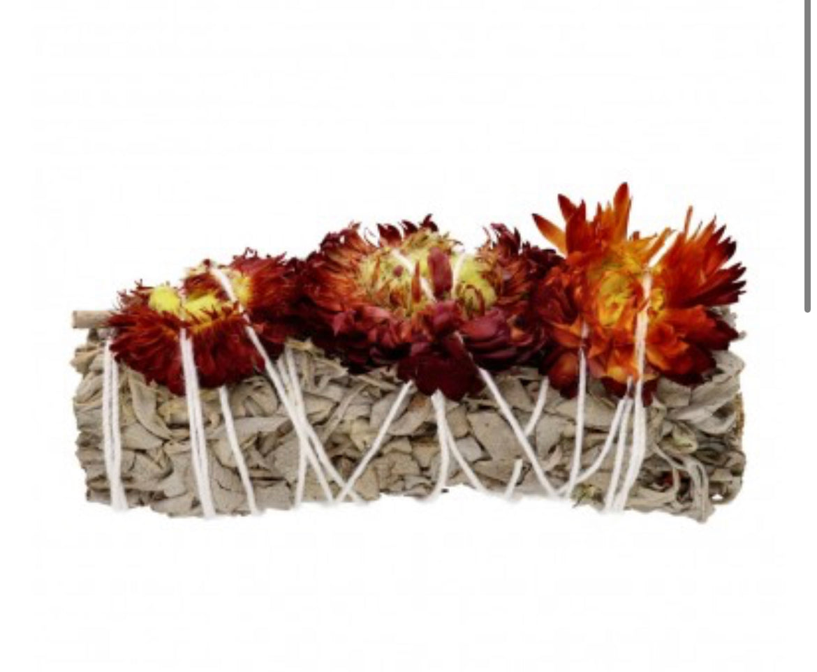 Sauge blanche à feuilles persistantes