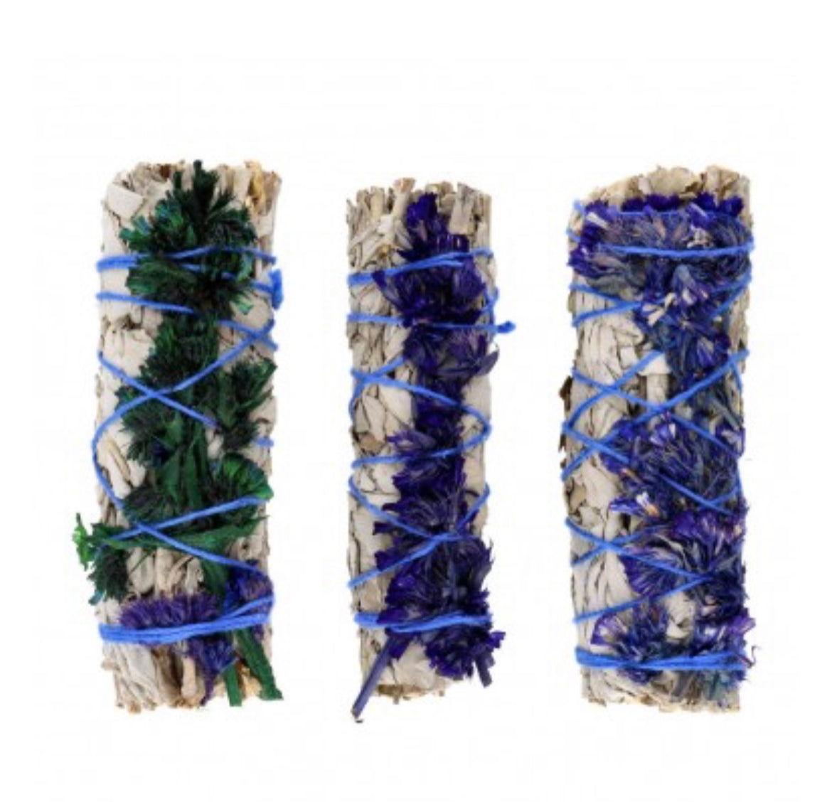 Sauge Blanche au BleuSinuata