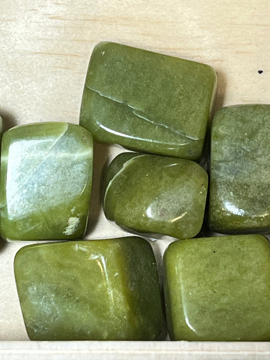 Serpentine AA taille « L » Tensions émotionnelles