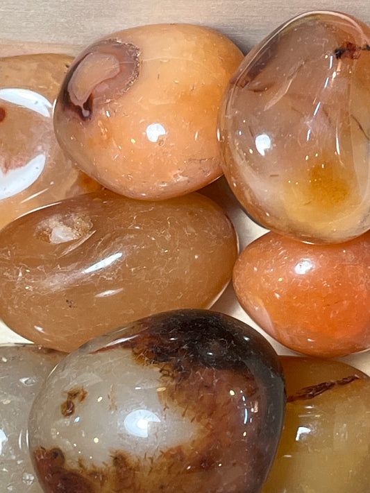 Cornaline AA Taille « L » créativité