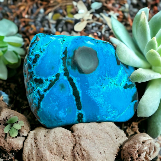 Malachite - Chrysocolle