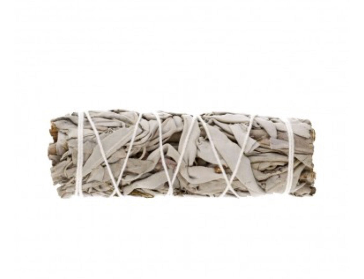 Sauge blanche de Californie