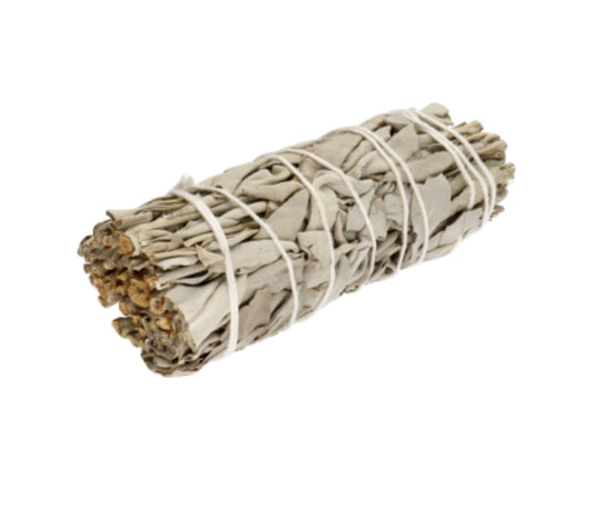 Sauge blanche de Californie