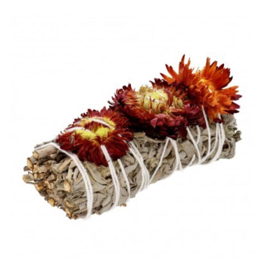 Sauge blanche à feuilles persistantes