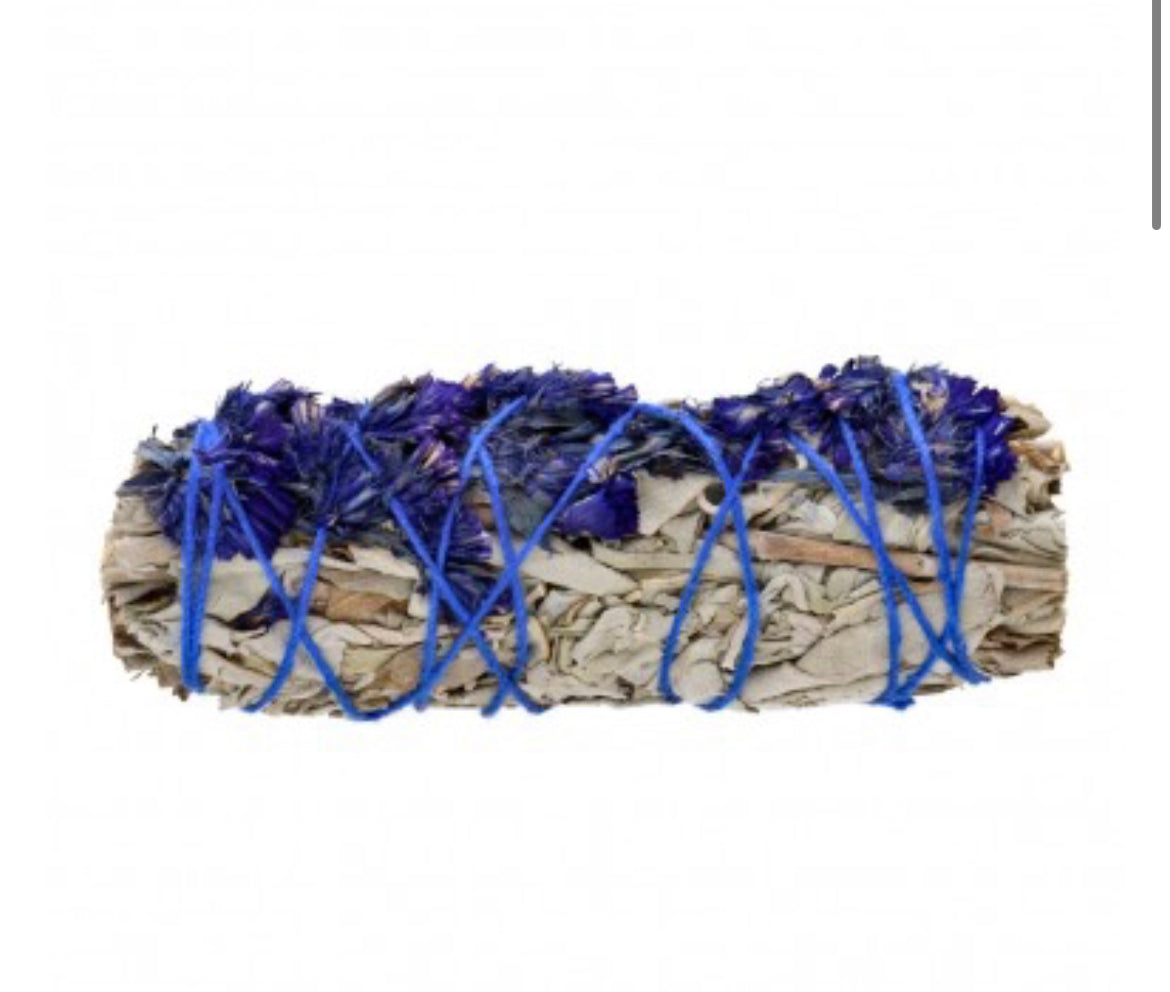 Sauge Blanche au BleuSinuata