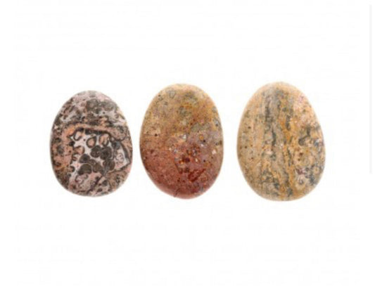 Galet plat Jaspe Léopard